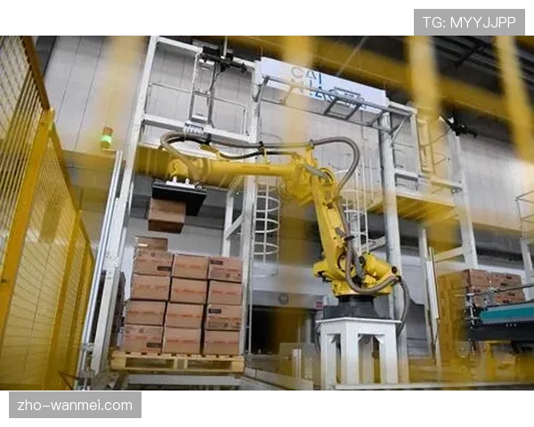 品牌数字化展示在近期大型赛事中的崭露头角引发广泛关注